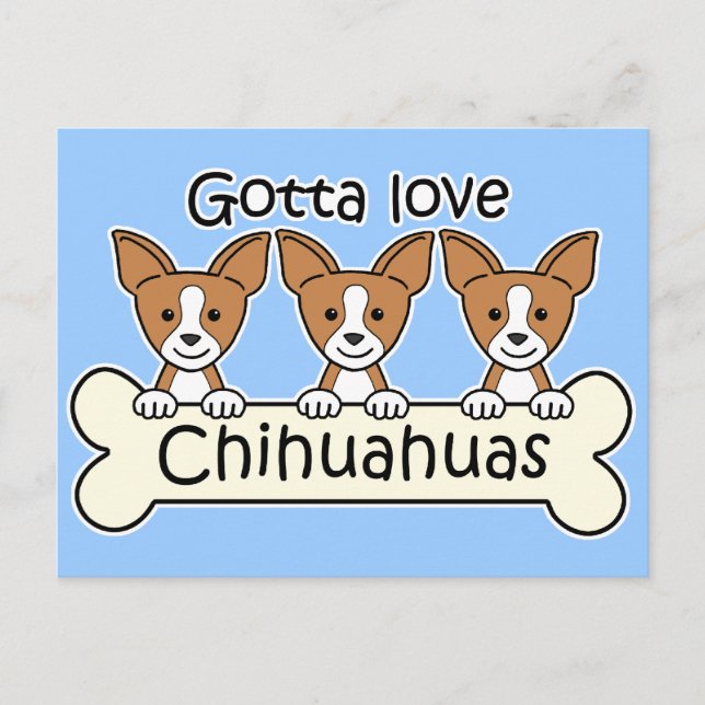 Carte Postale Trois Chihuahuas (Devant)