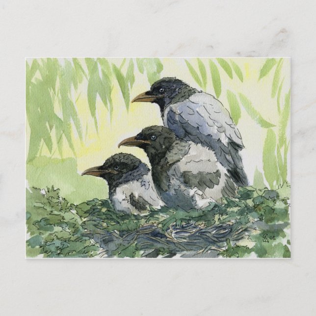 Carte Postale Trois corneille par schukina (Devant)