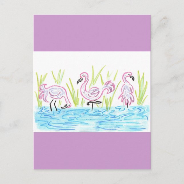 Carte Postale Trois Flamants roses (Devant)