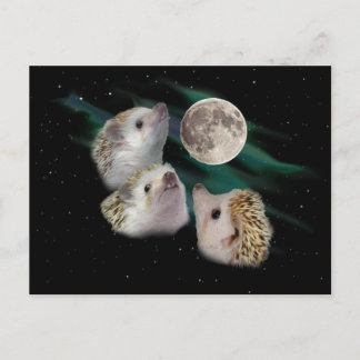 Carte postale Trois Hérisson Lune