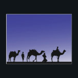 Carte Postale Trois hommes sages en voyage avec leurs chameaux<br><div class="desc">Illustration des 3 sages qui roulent sur leurs chameaux dans une caravane la nuit.</div>