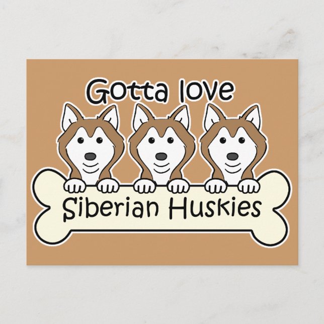 Carte Postale Trois Huskies de Sibérie (Devant)
