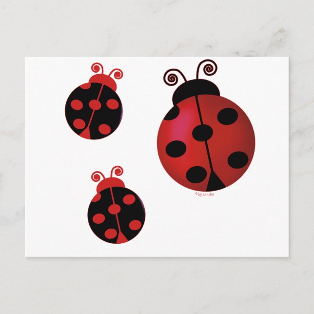 Carte Postale Trois Ladybugs (Devant)