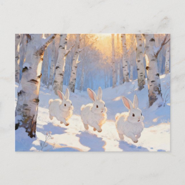 Carte Postale Trois lapins blancs d'hiver  (Devant)