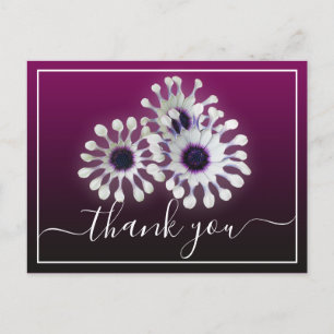 Carte Postale Trois marguerites blanches Fond violet Merci