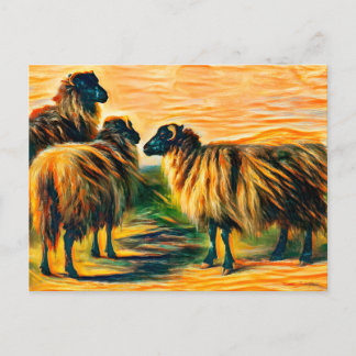 Carte Postale Trois moutons
