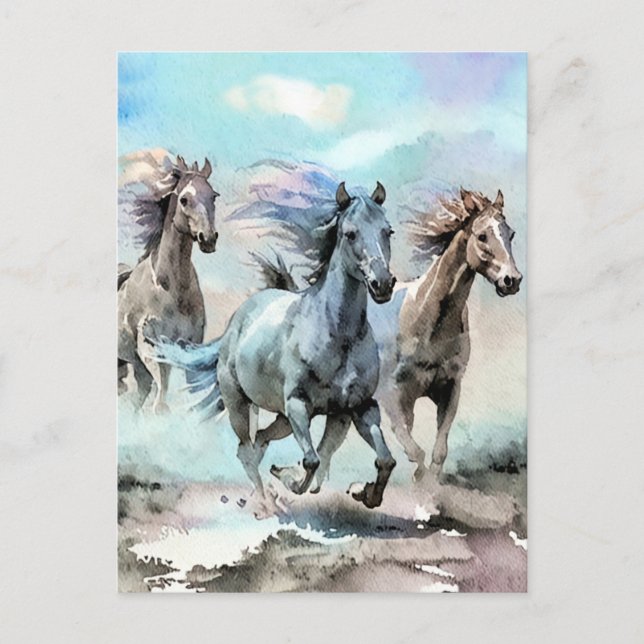 Carte Postale Trois Mustangs sauvages traversent les plaines (Devant)