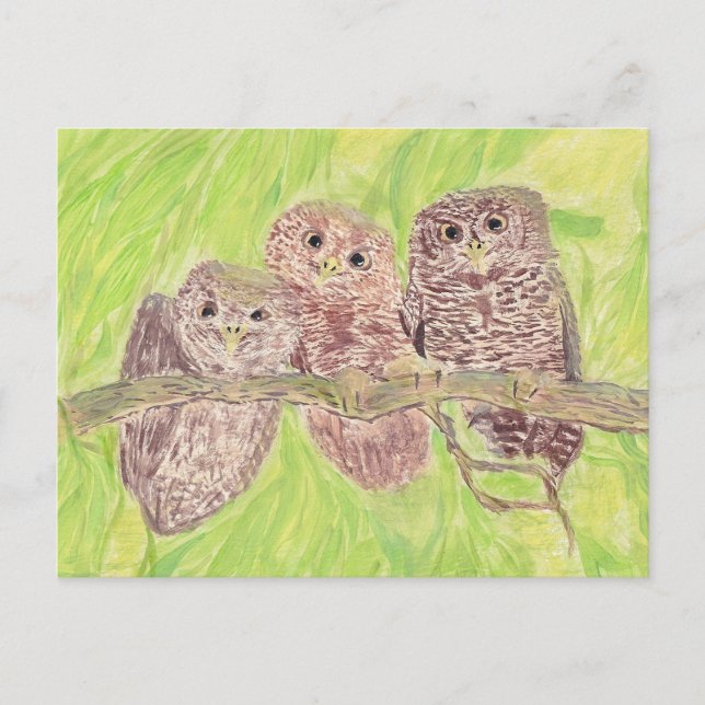 Carte Postale Trois Petites Chouettes - peinture acrylique. (Devant)