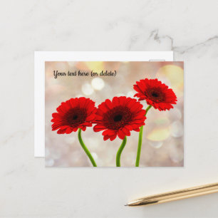 Carte postale Trois petites gerbera rouges