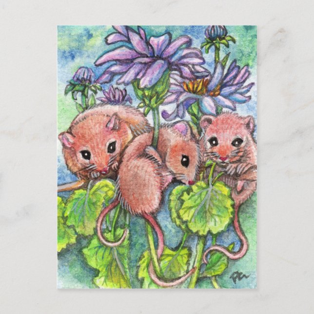 Carte Postale Trois petites souris (Devant)