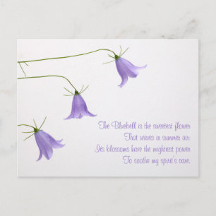 Carte Postale Trois photos de jacinthes avec un poème