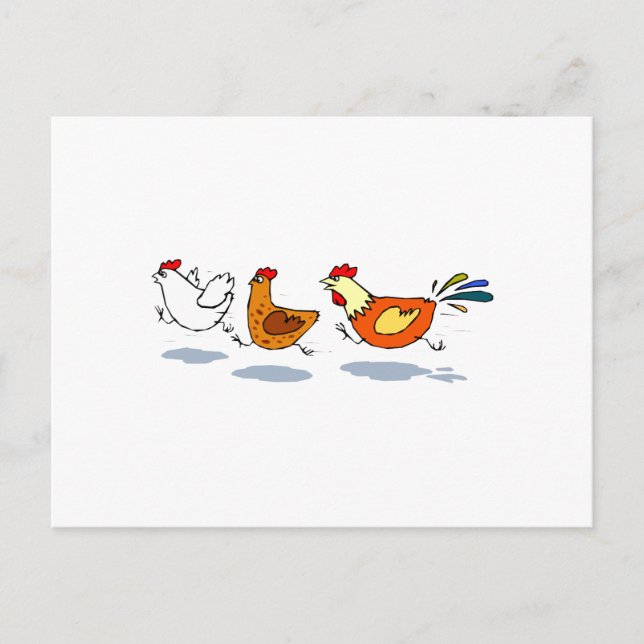 Carte Postale Trois poules (Devant)