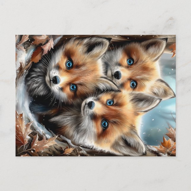 Carte Postale Trois renardeaux mignons dans la forêt (Devant)