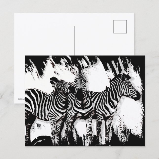 Carte Postale Trois zèbres peignant (Devant / Derrière)