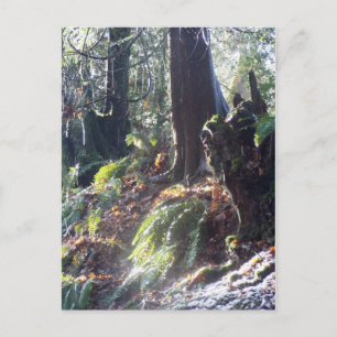 Carte Postale "troll" forestier dans la neige #2