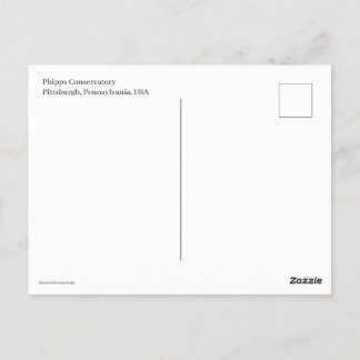 Carte Postale Trolly miniature