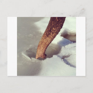 Carte Postale Tronc éléphant