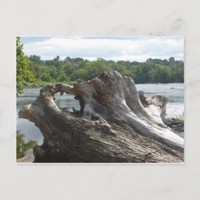 Carte Postale Tronçon sur James River (Devant)