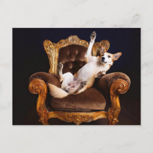 Carte Postale Trône de chien AI