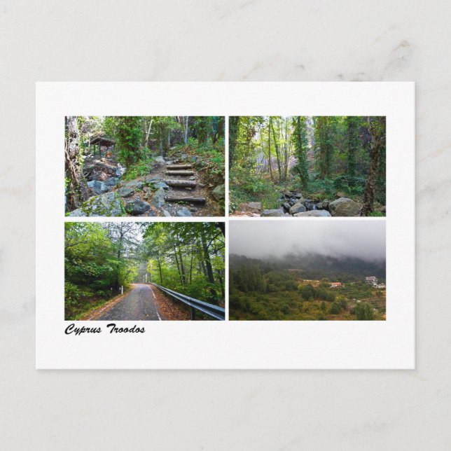 Carte Postale Troodos de Chypre (Devant)