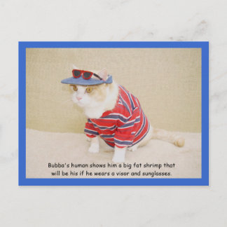 Carte Postale Trop Cool Bubba Kitty