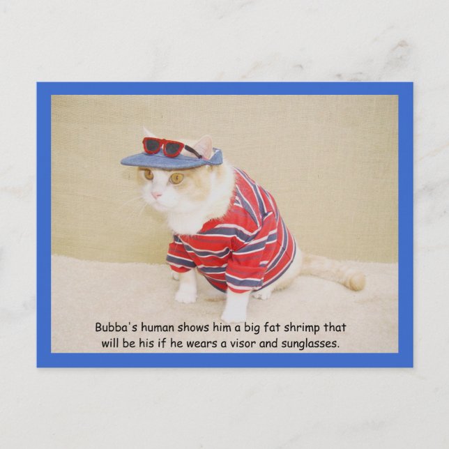 Carte Postale Trop Cool Bubba Kitty (Devant)