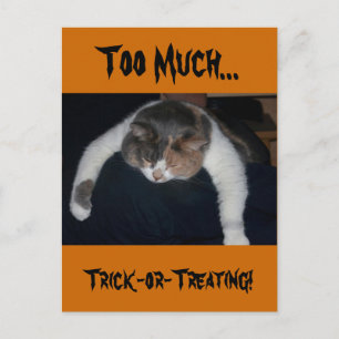 Carte Postale Trop de bêtises ou de traitements !