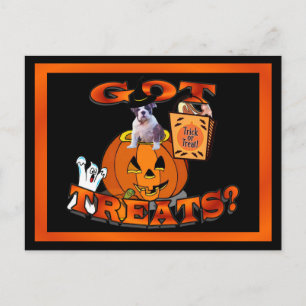 Carte Postale Trop mignon chiot Bulldog qui regarde hors du Citr