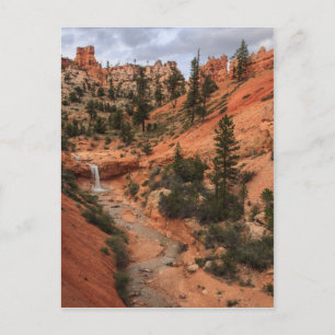 Carte Postale Tropic Ditch