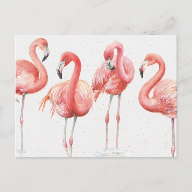Carte Postale Tropical | Famille de Flamants roses (Devant)