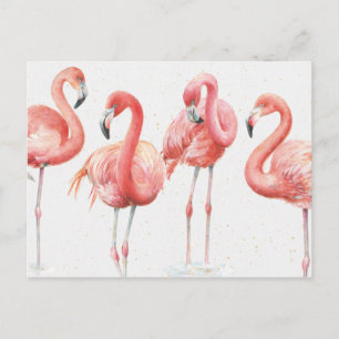 Carte Postale Tropical   Famille de Flamants roses