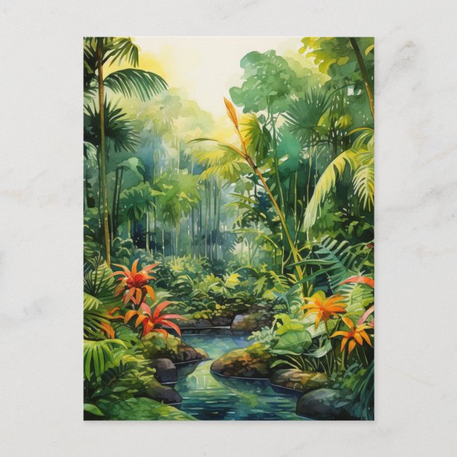 Carte Postale Tropical Forest (Devant)