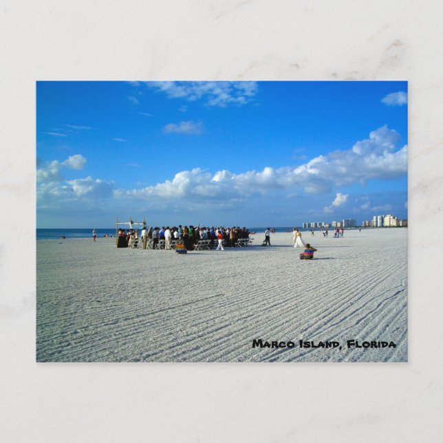 Carte Postale Tropical Marco Island Florida - Un Mariage De Plag (Devant)