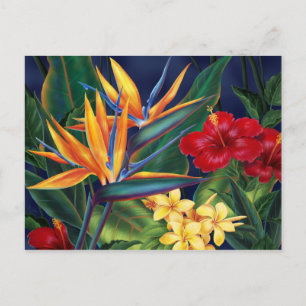 Carte postale Tropical Paradise