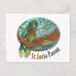 Carte Postale Tropical Parrot of St Lucia