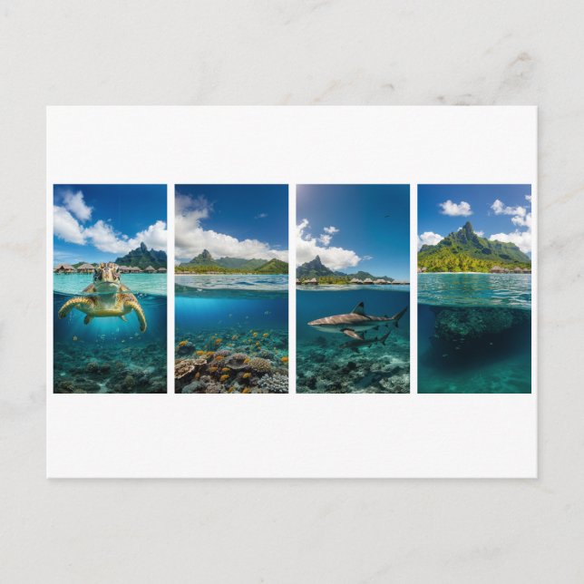 Carte Postale Tropical Split‑View Poster – Underwater & Island L (Devant)