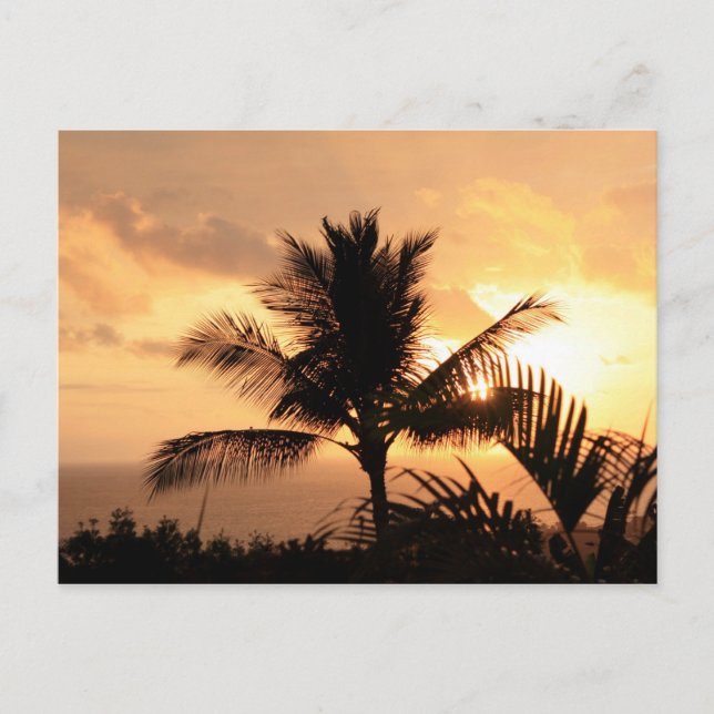 Carte postale Tropical Sunset Golden (Devant)