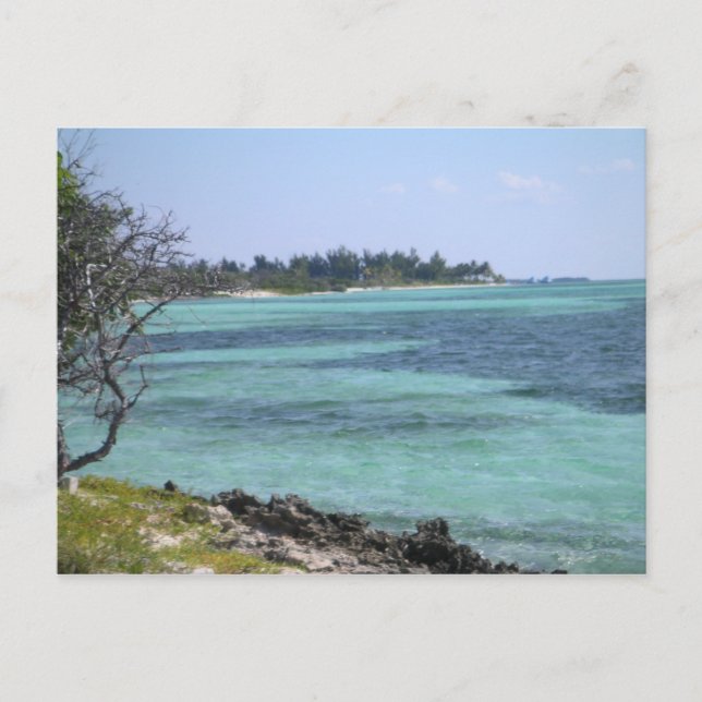 Carte postale tropicale (Devant)