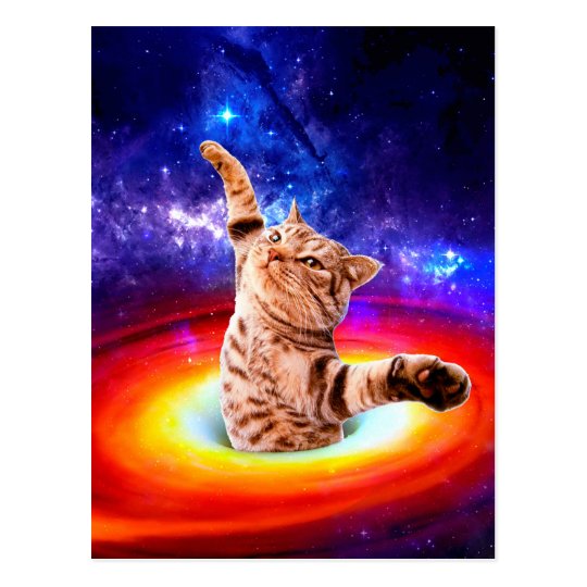 Carte Postale Trou Noir Chat De L Espace Chats Droles Dans Zazzle Fr