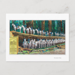 Carte Postale Troupe I sur et devant Fallen Giant