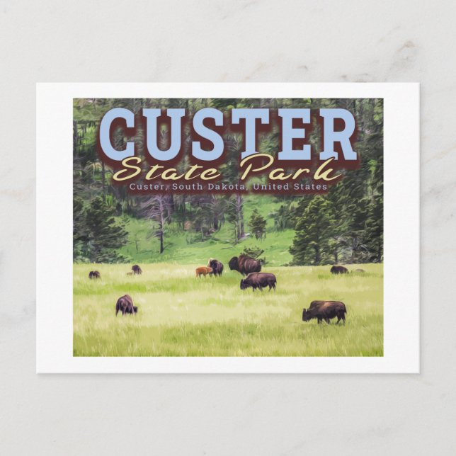 CARTE POSTALE TROUPEAU DE BISON - CUSTER STATE PARK - DAKOTA DU  (Devant)