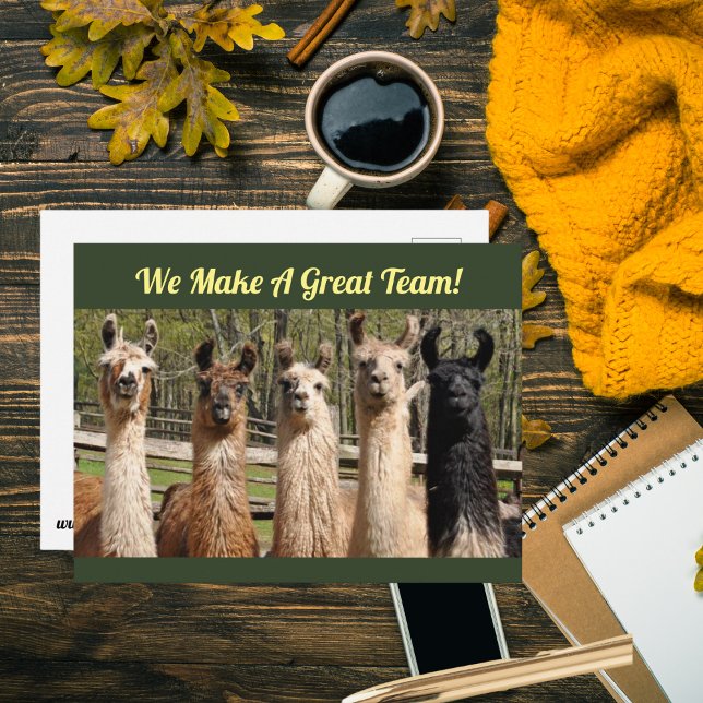 Carte Postale Troupeau de Llamas Heureux Ensemble (Is your work team just the best? Tell them with a postcard~!)