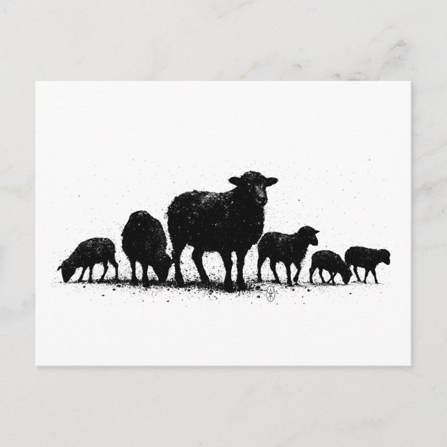 Carte Postale Troupeau de moutons des Orcades — Silhouette à l'e (Devant)