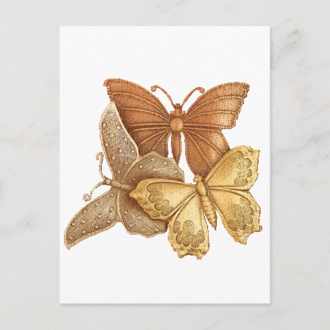 Carte Postale Troupeau de papillons (Devant)