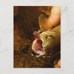 Carte Postale Trout and Fly