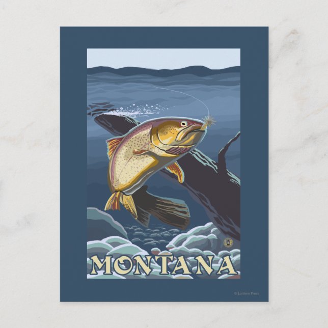 Carte Postale Trout Fishing Cross-Section - Montana (Devant)