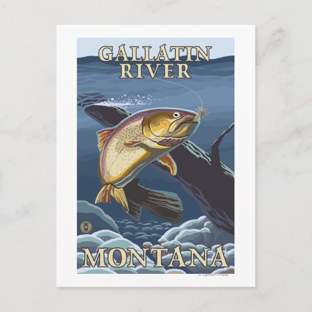 Carte Postale Trout Fishing Cross-Section - rivière Gallatin, (Devant)