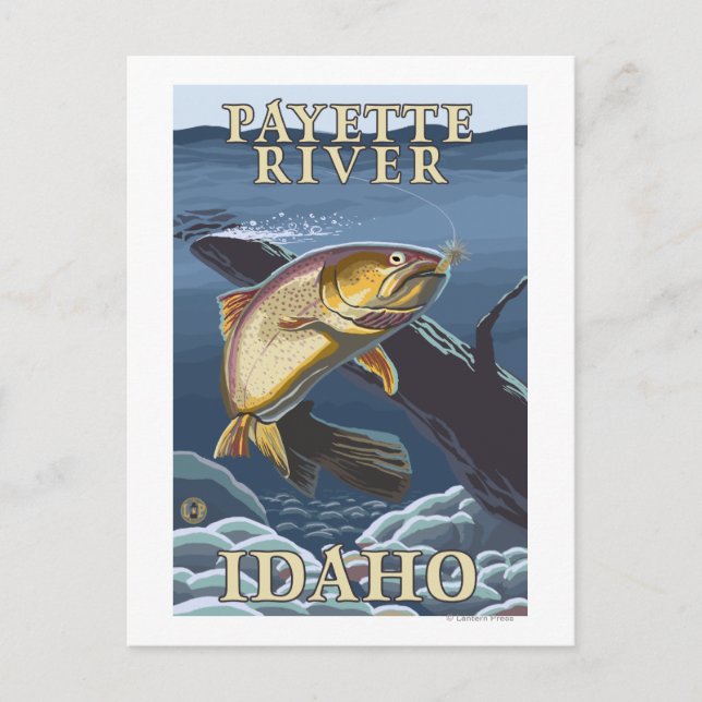 Carte Postale Trout Fishing Cross-Section - rivière Payette, (Devant)