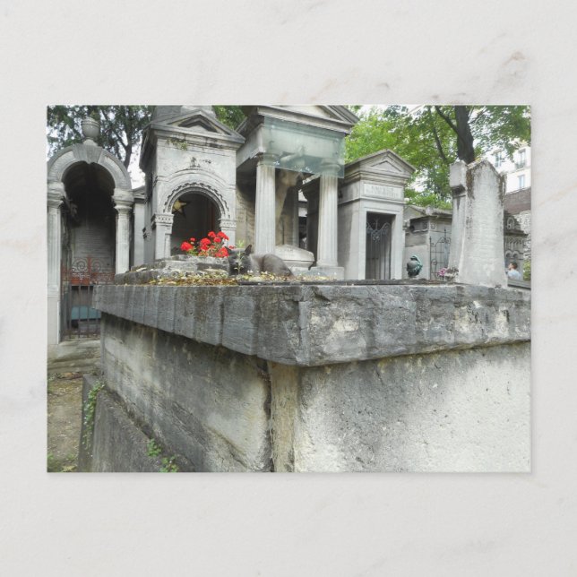 Carte Postale Trouvez un chat ! (Devant)