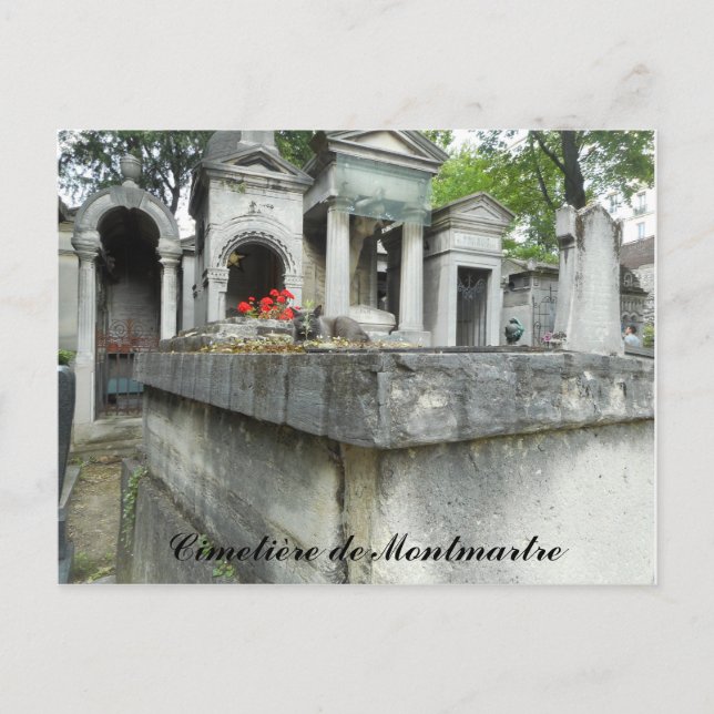 Carte Postale Trouvez un chat ! (texte) (Devant)